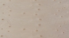 Birke MPX-CP (2212 Besuche) Birke MPX-CP